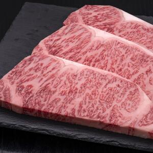 (全10定期便)【A5~4等級】博多和牛サーロインステーキ 200g×3枚