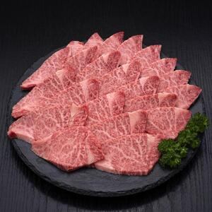 (全3回定期便)【訳あり】A5～4等級 博多和牛ヒレ焼肉 600g