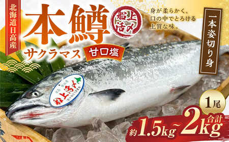 本鱒（サクラマス）船上活〆1本姿切り身【甘口塩】（1尾分1.5kg～2kg） ｜ サクラマス
