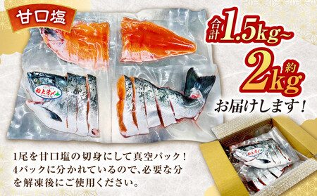 本鱒（サクラマス）船上活〆1本姿切り身【甘口塩】（1尾分1.5kg～2kg） ｜ サクラマス