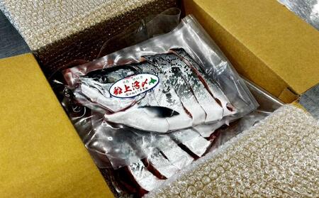 本鱒（サクラマス）船上活〆1本姿切り身【甘口塩】（1尾分1.5kg～2kg） ｜ サクラマス