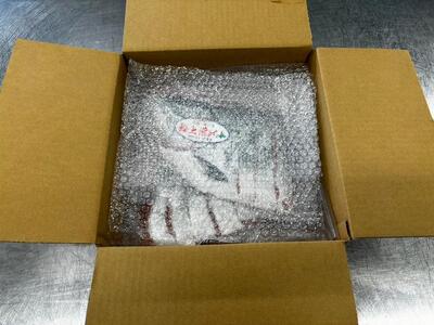 本鱒（サクラマス）船上活〆1本姿切り身【甘口塩】（1尾分1.5kg～2kg） ｜ サクラマス