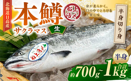 本鱒（サクラマス）船上活〆半身切り身【生】（半身約700g～1000g） ｜ サクラマス