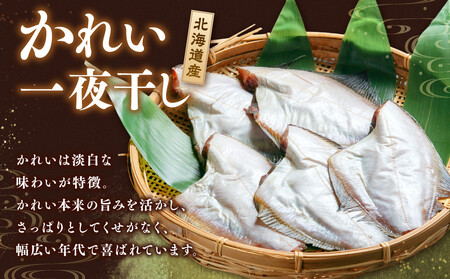 【丸富水産】北海道産 かれい一夜干しセット 5パック | 一夜干し