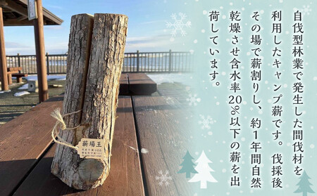 【訳あり】スウェーデントーチ(約30cm×3本) | トーチ