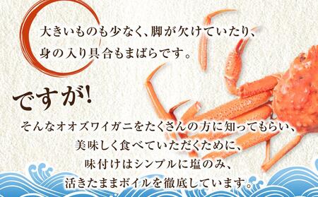 「訳あり」オオズワイガニボイル　2尾　合計約900g ｜ ズワイガニ