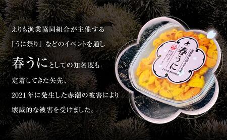 【先行予約/2026年3月より発送開始】【えりも漁協】北海道様似産エゾバフンウニ　春うに塩水パック　100ｇ×１パック