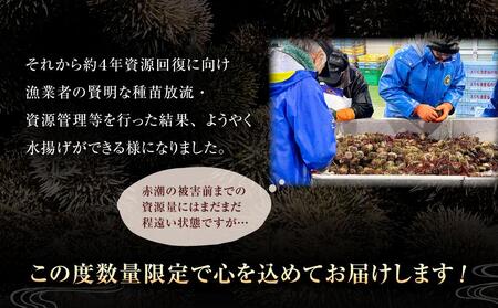 【先行予約/2026年3月より発送開始】【えりも漁協】北海道様似産エゾバフンウニ　春うに塩水パック　100ｇ×１パック