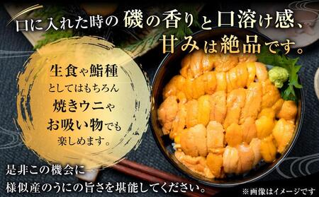 【先行予約/2026年3月より発送開始】【えりも漁協】北海道様似産エゾバフンウニ　春うに塩水パック　100ｇ×１パック