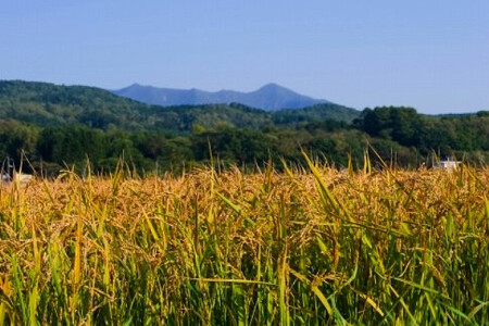 【R7年産新米】北海道産特別栽培米 アポイ米（ななつぼし）5kg