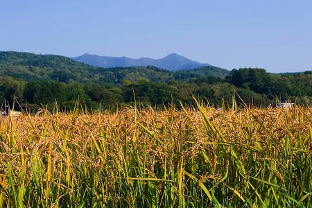 【R7年産】北海道産特別栽培米 アポイ米（ななつぼし）10kg（5kg×2袋）