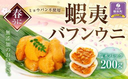 【春うに】 蝦夷バフンウニ 塩水パック 100g×2P【2025年4月頃より発送】