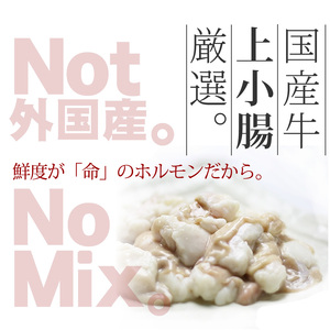 CW-028_【博多鍋セット1】一番人気のもつ鍋2種セット「九州醤油もつ鍋」と「九州味噌もつ鍋」4～6人前
