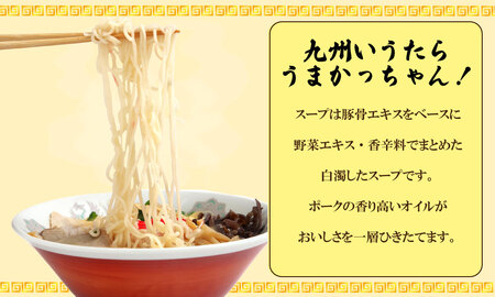 CE-047_うまかっちゃん (5袋×2)10食セット