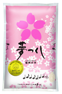 CE-081_【定期便3回】令和7年米 金のめし丸夢つくし 5Kg(1袋)×3回