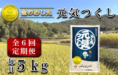 CE-082_【定期便６回】令和７年米　金のめし丸元気つくし 5Kg（1袋）×６回