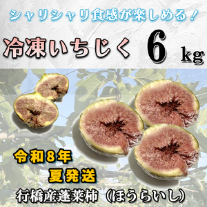 AO-023_【予約・令和８年夏発送】冷凍いちじく6kg