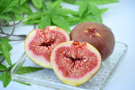 AO-025_【予約・令和８年夏発送】行橋産いちじく（蓬莱柿）贈答用　1箱