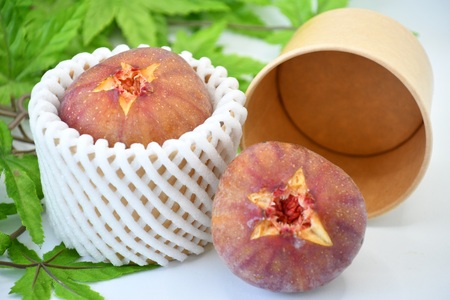 AO-025_【予約・令和８年夏発送】行橋産いちじく（蓬莱柿）贈答用　1箱