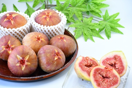 AO-026_【予約・令和8年夏発送】行橋産いちじく(蓬莱柿)贈答用 2箱