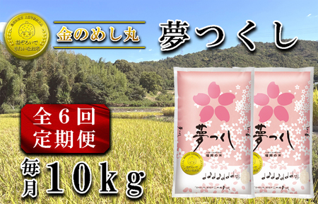 CE-096_【定期便６回】令和７年米　金のめし丸夢つくし　１０kg（５kg×２袋）を６回お届け（計６０ｋｇ）