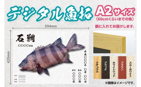 CM-021 【A2・デジタル魚拓ギフトカード】メモリアルフィッシュを釣れたてのままに。
