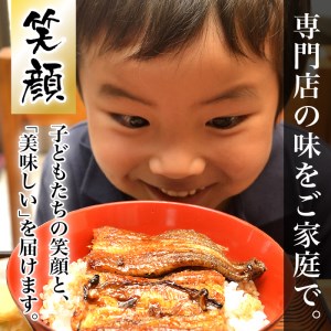 AU-065【当店オリジナル味付け】九州産・鰻の蒲焼2尾（計500g前後）