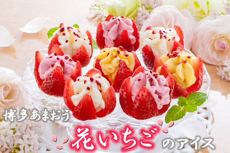 CY-004 博多あまおう 花いちごのアイス