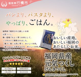 AF-019 福岡県産元気つくし【研ぐお米】10kg