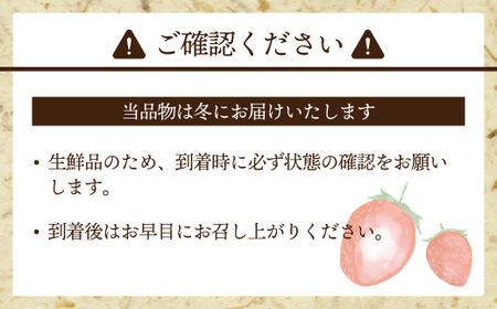 AT-003_博多あまおう4パック(冬)『12月上旬~1月下旬発送』