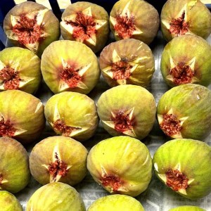 AO-010_【予約・令和８年夏発送】冷凍いちじく2kg