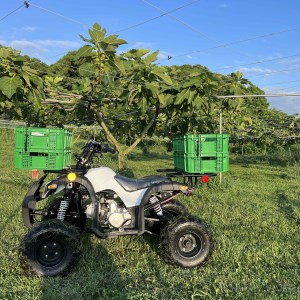 AO-011_【予約・令和8年夏発送】冷凍いちじく3kg