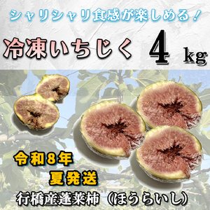 AO-012_【予約・令和８年夏発送】冷凍いちじく4kg