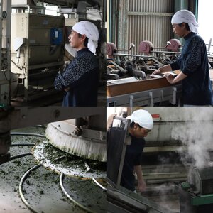 CW-020_【定期便】奥八女星野村 深蒸し高級煎茶(深蒸し茶)100g×2袋　6回コース