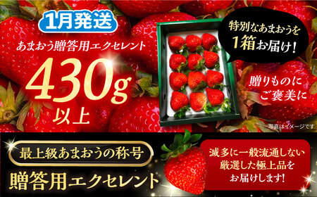 【先行予約】【1月発送】あまおう 贈答用 エクセレント 430g以上×1箱 [VAB009]果物 いちご あまおう