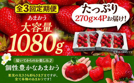 【先行予約】【全3回定期便】あまおう いちご 1080g (270ｇ以上 × 4 パック) 土耕栽培《豊前市》【内藤農園】果物 いちご [VAB021]