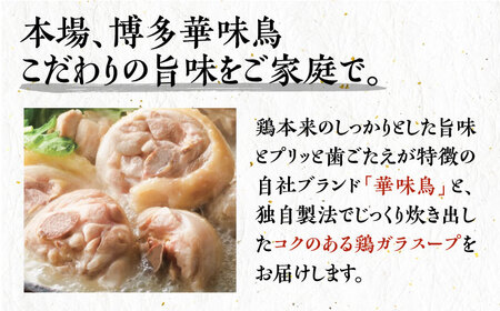 博多華味鳥 水炊き 6～8人前[VAC001] 水炊き