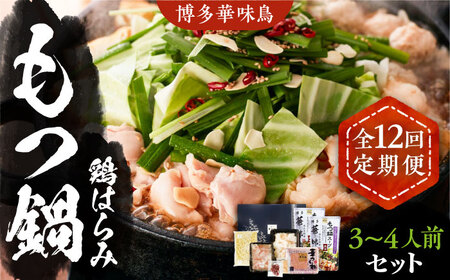 【全12回定期便】博多華味鳥 博多もつ鍋 鶏はらみ セット 3~4人前 《豊前市》【トリゼンフーズ】博多 福岡 鍋 鶏 もつ もつ鍋 [VAC017]