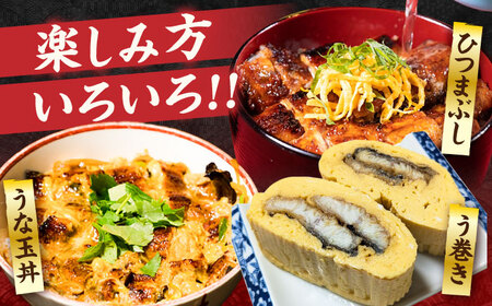 国産うなぎ蒲焼 鰻大2尾 320g[VAD002] 鰻