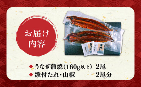 国産うなぎ蒲焼 鰻大2尾 320g[VAD002] 鰻