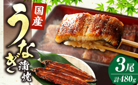 国産うなぎ蒲焼 大3尾 480g[VAD003] 鰻 うなぎ