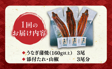 国産うなぎ蒲焼 大3尾 480g[VAD003] 鰻 うなぎ