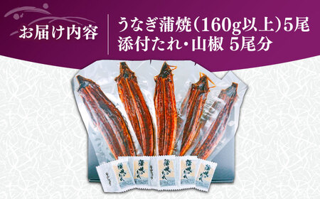 国産うなぎ蒲焼 大5尾 800g[VAD004] 鰻 鰻