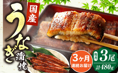 【全3回定期便】福岡県産 うなぎ 蒲焼 大3尾 合計 480 g（1尾あたり 160g以上）《豊前市》【福岡養鰻】 国産 うなぎ 大 [VAD014]