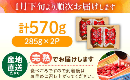 【2026年1月下旬～4月中旬発送】ココロファームの濃厚あまおう 285g×2P《豊前市》 いちご あまおう 果物 【※北海度・沖縄および離島への配送不可】[VAE007]