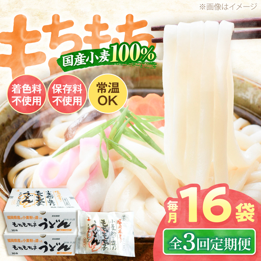 【全3回定期便】もちもち子 うどん 16食《豊前市》【富士菊】うどん 麺[VAI067]