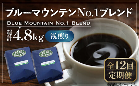 【全12回定期便】ブルーマウンテン NO.1 ブレンド コーヒー ( 浅煎り )《豊前市》【稲垣珈琲】 珈琲 コーヒー 豆 粉 [VAS169]