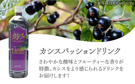 【全3回定期便】カシス パッション ドリンク 6本 セット《豊前市》【ハウスボトラーズ】果汁 ジュース 飲料（3ヶ月おきにお届けします） [VAX019]