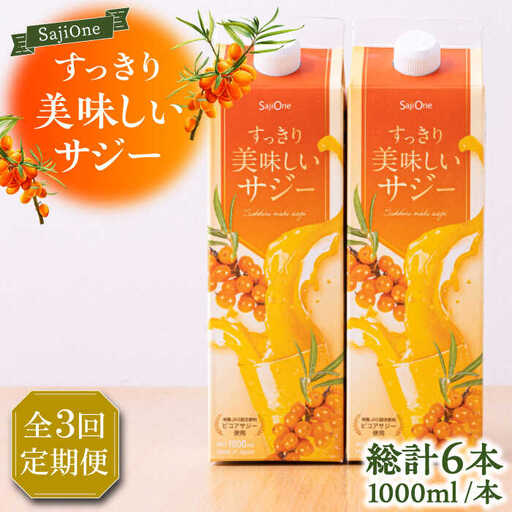 【全3回定期便】美味しいサジーが毎月届く！すっきり美味しいサジー（2本）《豊前市》【ハウスボトラーズ】 [VAX036]