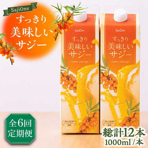 【全6回定期便】美味しいサジーが毎月届く！すっきり美味しいサジー（2本）《豊前市》【ハウスボトラーズ】 [VAX039]